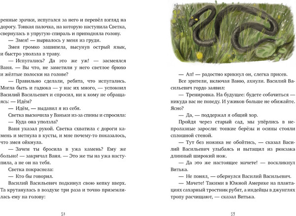 Изображение товара Книга CLEVER Деревенские приключения. Тайна Гусиных Лапок твердая обложка (Снесарь Андрей)