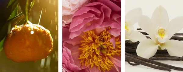 Изображение товара Парфюмерная вода Antonio Banderas The Icon Splendid (50мл)