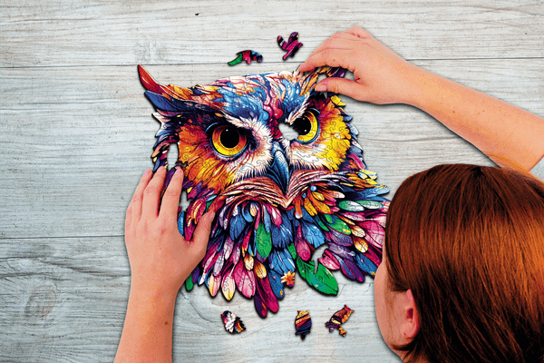 Изображение товара Пазл Славянская столица Owl Puzzle (200эл)