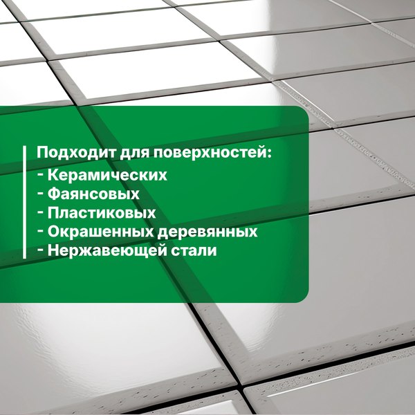 Изображение товара Чистящее средство для ванной комнаты Prosept Bath DZ концентрат (1л)