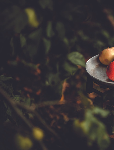 Изображение товара Книга ХлебСоль Праздничная выпечка для незабываемых моментов (Клыканова Анна)