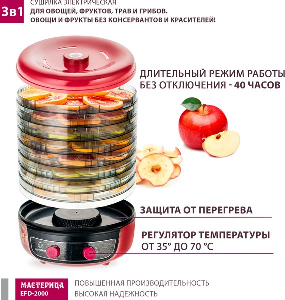 Изображение товара Сушилка для овощей и фруктов Мастерица EFD-2000 3в1 (вишневый/черный)
