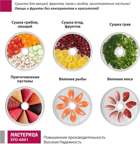 Изображение товара Сушилка для овощей и фруктов Мастерица EFD-6001 (белый)