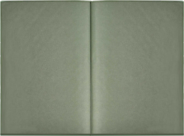 Изображение товара Ежедневник Escalada Стэп / 67286 (160л, оливковый)