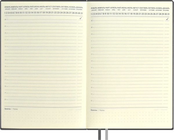 Изображение товара Ежедневник Escalada Тиволи Глосс / 67160 (160л, серый)