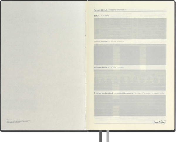 Изображение товара Ежедневник Escalada Тиволи Глосс / 67160 (160л, серый)