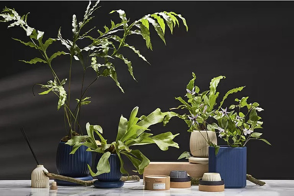 Изображение товара Аромадиффузор Tkano Edge. Secret Santa TK23-DIF0022 (200мл, бежевый)