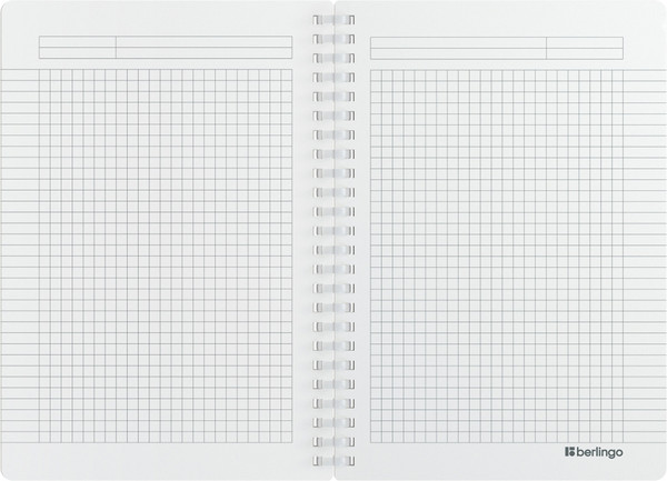 Изображение товара Тетрадь Berlingo Soft Touch Pro / SRn_A5932 (80л, синий)