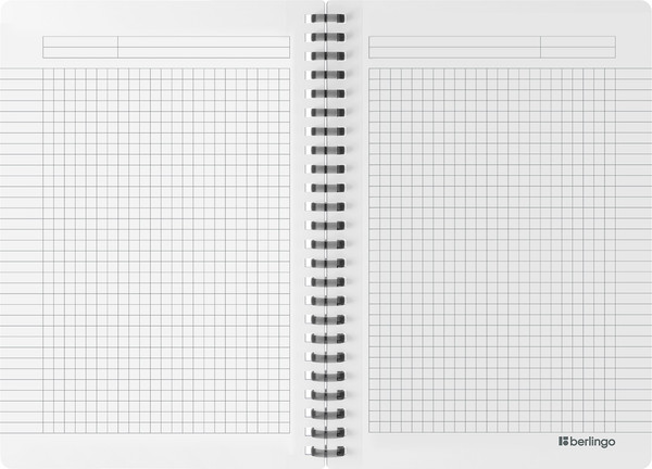 Изображение товара Тетрадь Berlingo Your Way / SRn_A5890 (80л, черный)