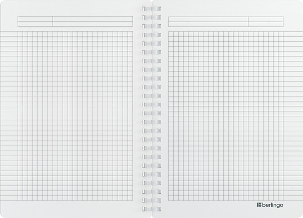 Изображение товара Тетрадь Berlingo Your Way / SRn_A5895 (80л, зеленый неон)