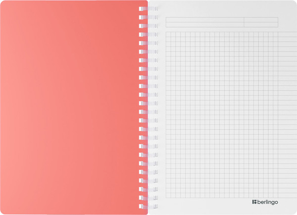 Изображение товара Тетрадь Berlingo Your Way / SRn_A5892 (80л, коралловый)