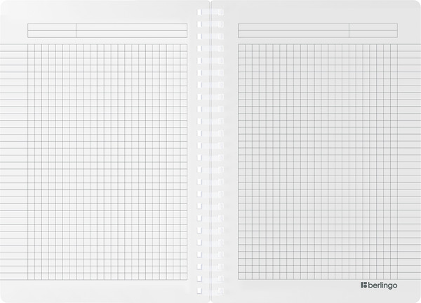 Изображение товара Тетрадь Berlingo Your Way / SRn_A5892 (80л, коралловый)