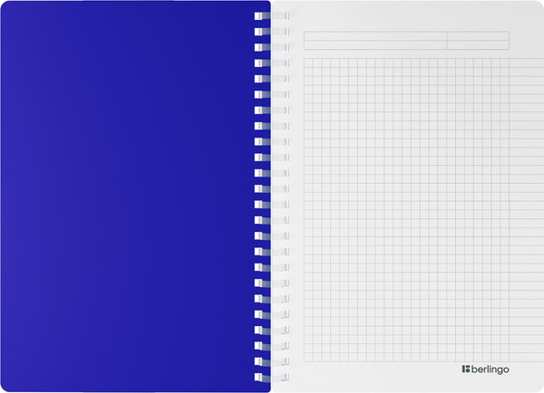 Изображение товара Тетрадь Berlingo Your Way / SRn_A5891 (80л, синий)