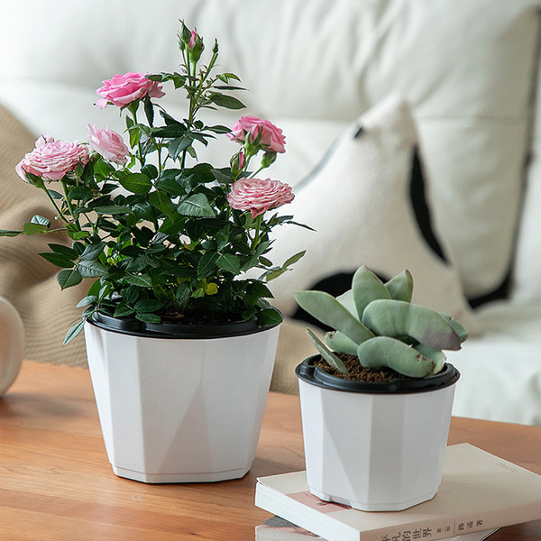 Изображение товара Кашпо BOTANICA Aspect с автополивом (13x10см, белый)