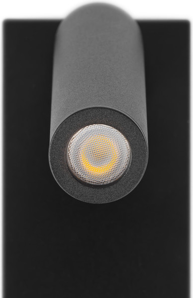 Изображение товара Спот Citilux Декарт CL704431