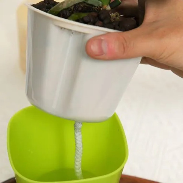 Изображение товара Кашпо BOTANICA Aqua с автополивом (7.5x8.5см, зеленый)