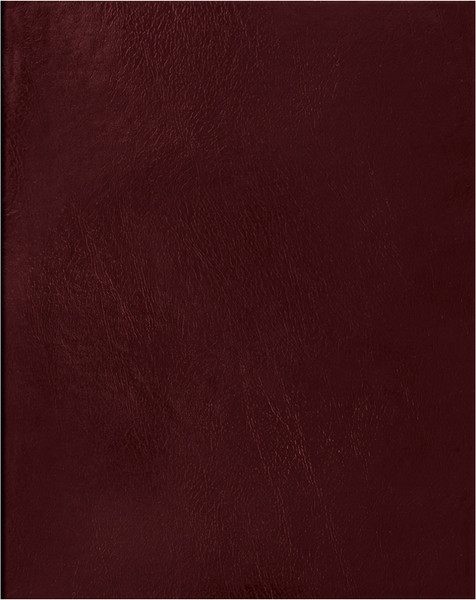 Изображение товара Тетрадь BG Т4бв96кЭ_12344 (96л, бордовый)