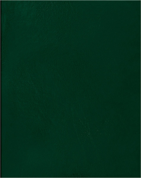 Изображение товара Тетрадь BG Т4бв96кЭ_12343 (96л, зеленый)