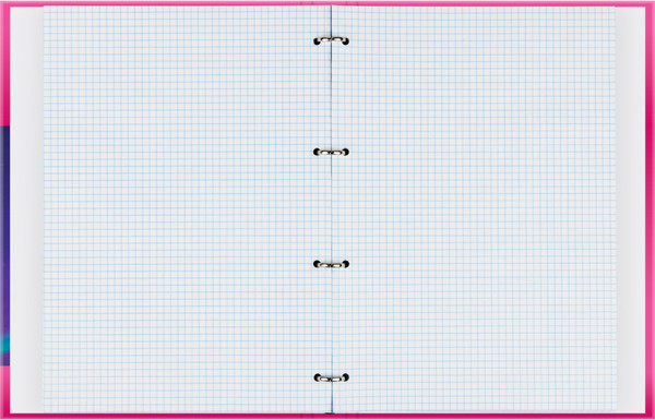 Изображение товара Тетрадь BG Северное сияние / ТТ4к100_лг 62752 (100л)