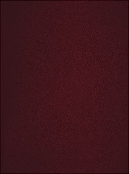 Изображение товара Тетрадь BG Т4бв80к_12325 (80л, бордовый)