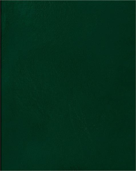 Изображение товара Тетрадь BG Т4бв80к_12324 (80л, зеленый)