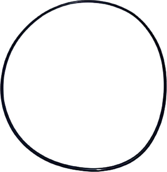 Изображение товара Кольцо уплотнительное для фильтра Аквабрайт Р-10ББ-ПР