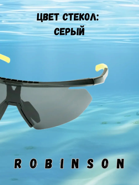 Изображение товара Очки солнцезащитные Robinson 93-SPO-039S