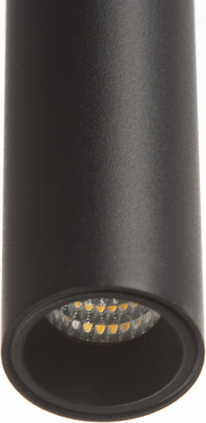 Изображение товара Потолочный светильник BayerLux Лукас / 9919624 (черный)