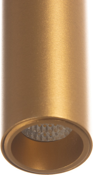 Изображение товара Потолочный светильник BayerLux Лукас / 9919626 (матовое золото)