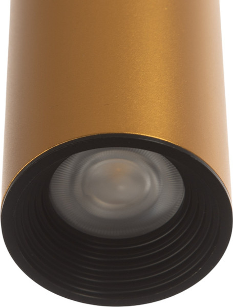 Изображение товара Потолочный светильник BayerLux Лукас / 9919638 (матовое золото)