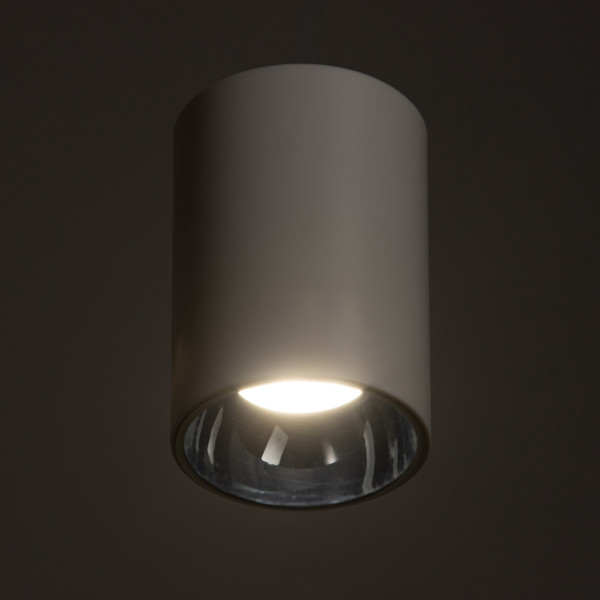 Изображение товара Точечный светильник BayerLux Рулл / 10385882 (белый/серебристый)