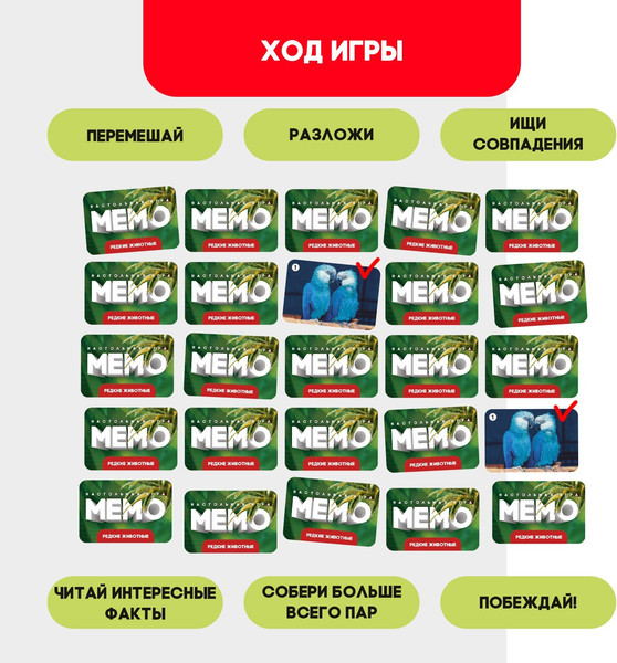 Изображение товара Настольная игра Лас Играс Kids. Мемо. Редкие животные / 9491134