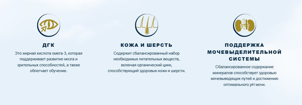 Изображение товара Сухой корм для кошек HappyOne Mediterraneum для котят со свежим яйцом и свежим мясом птицы (2кг)