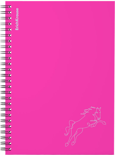 Изображение товара Тетрадь Erich Krause Silhouette / 61968 (80л, розовый)