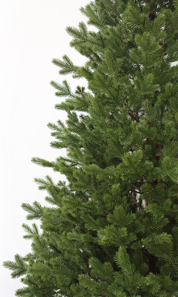 Изображение товара Ель искусственная GrandSiti Салерно 180 / 101-433