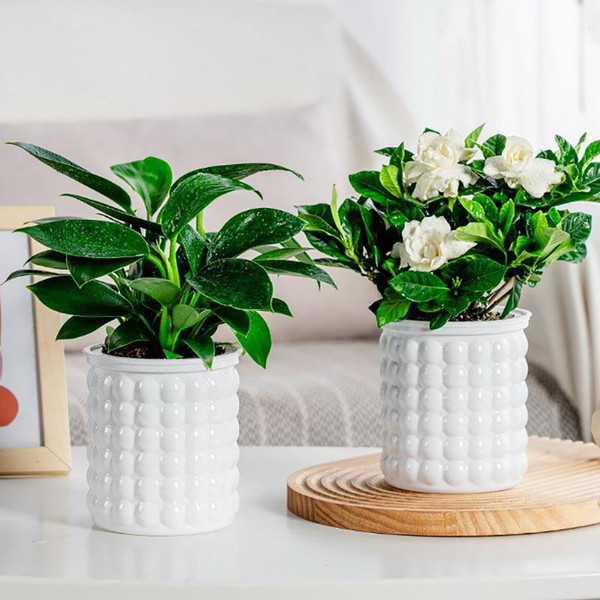Изображение товара Кашпо BOTANICA Babble 10.5x11.5см (белый)