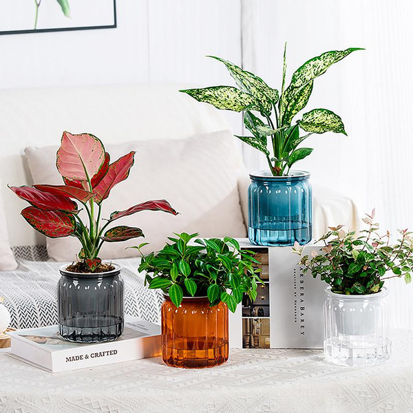 Изображение товара Кашпо BOTANICA Jam 10.5x11.5см (белый)