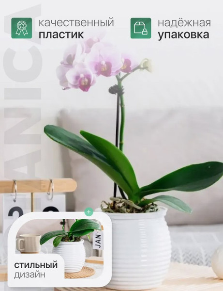 Изображение товара Кашпо BOTANICA Honey 10x11см (белый)