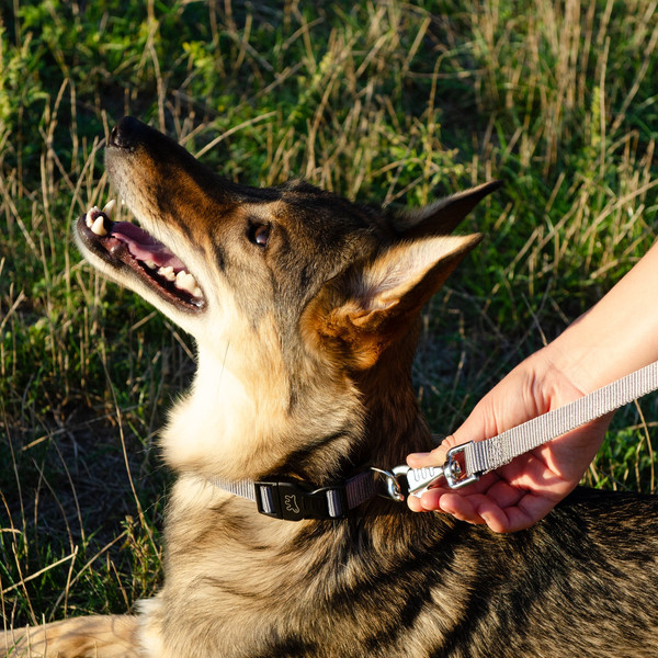 Изображение товара Ошейник Ferplast Club C10/25 / 75250876 (темно-зеленый)