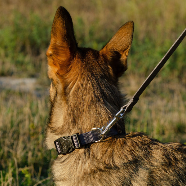 Изображение товара Ошейник Ferplast Club C20/56 / 75260969 (серый)