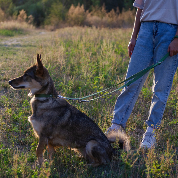 Изображение товара Поводок Ferplast Club GA15/200 / 75340676 (темно-зеленый)