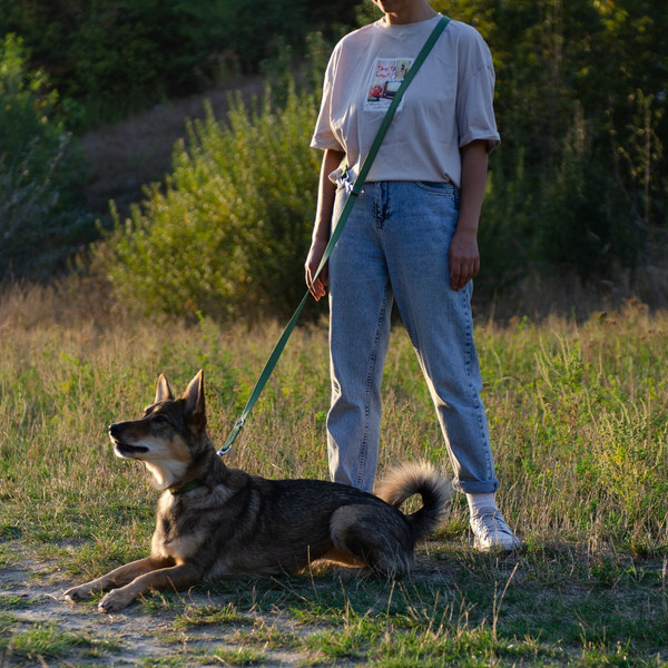 Изображение товара Поводок Ferplast Club GA15/200 / 75340676 (темно-зеленый)