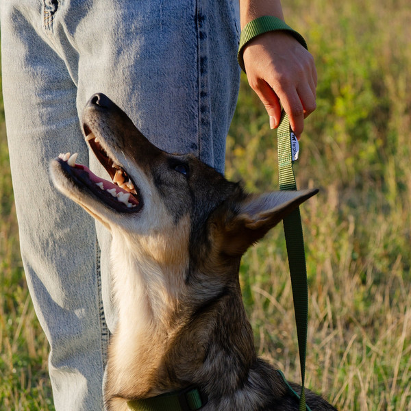 Изображение товара Поводок Ferplast Club G10/120 / 75340976 (темно-зеленый)