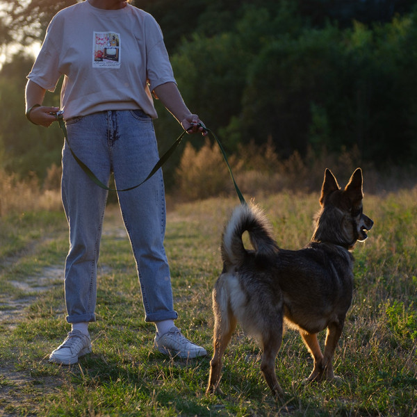 Изображение товара Поводок Ferplast Club GA20/200 / 75355976 (темно-зеленый)