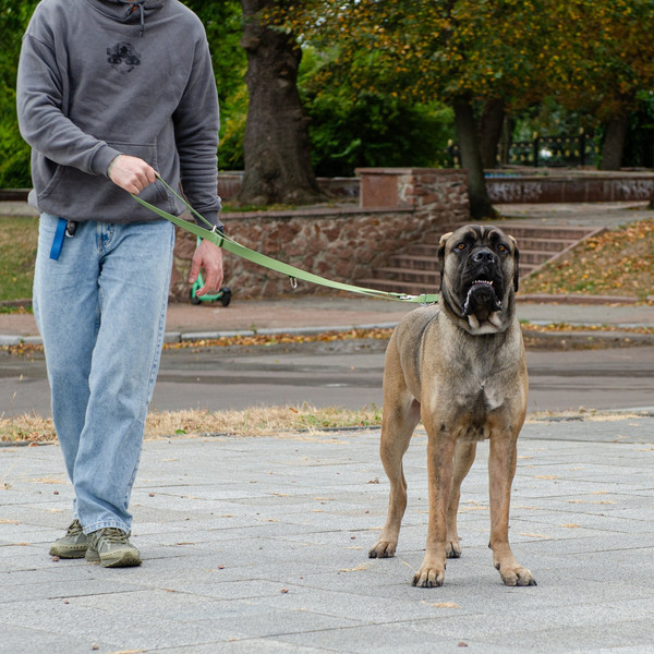 Изображение товара Поводок Ferplast Club GA20/200 / 75355976 (темно-зеленый)