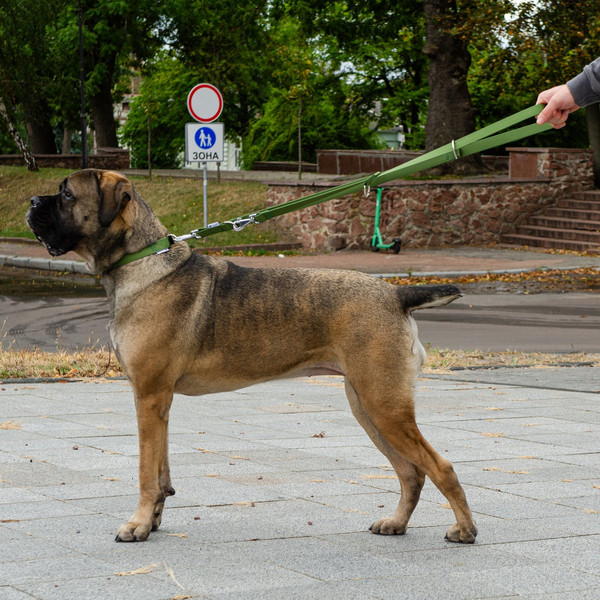 Изображение товара Поводок Ferplast Club GA20/200 / 75355976 (темно-зеленый)