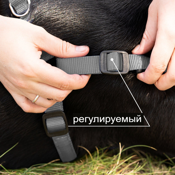 Изображение товара Шлея Ferplast Daytona P / 75576921 (S, серый)