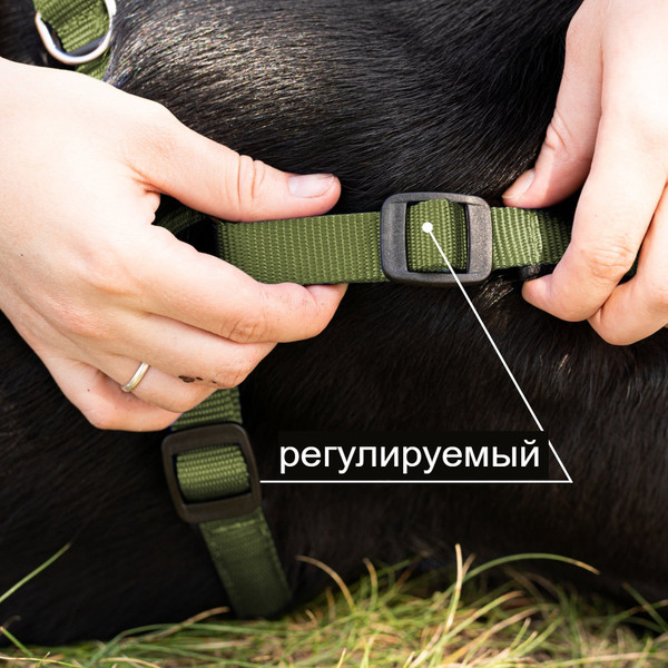 Изображение товара Шлея Ferplast Daytona P / 75576976 (S, темно-зеленый)