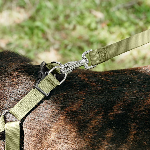 Изображение товара Шлея Ferplast Daytona P / 75577976 (M, темно-зеленый)