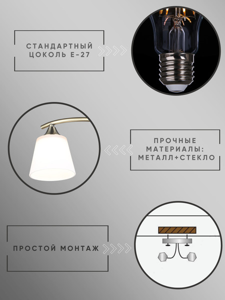 Изображение товара Потолочный светильник Aitin-Pro НПБ 02-2x60-101 / N6581/2 (бронза)